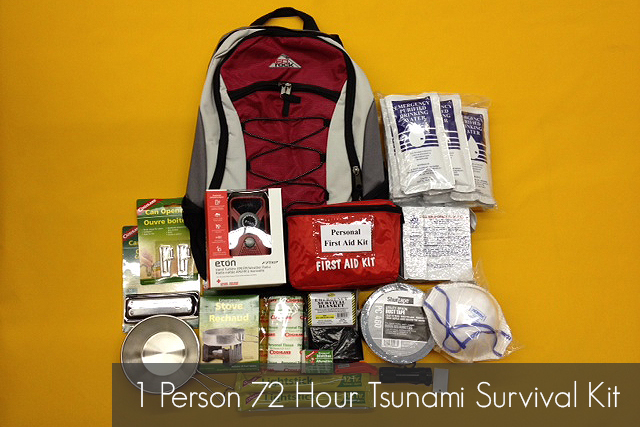 1 Person 72 Hour Tsunami Survival Kit